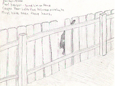 Merl Stuck on the Fence - Drawing