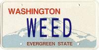 Washington WEED (Evergreen State)